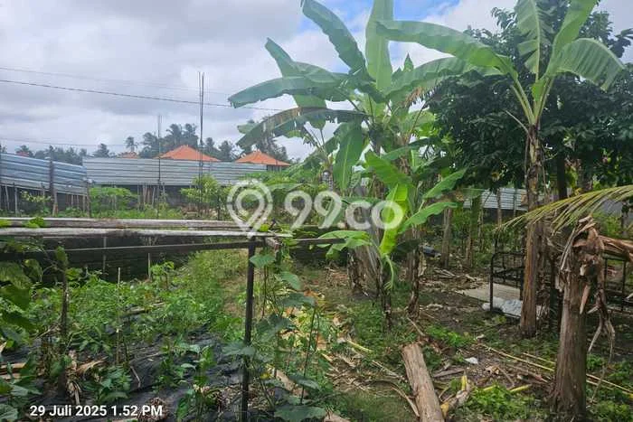Tanah For Rent di Cemagi, Luas 400m², Cocok untuk Usaha Tanah For Rent di Cemagi, Luas 400m², Cocok untuk Usaha