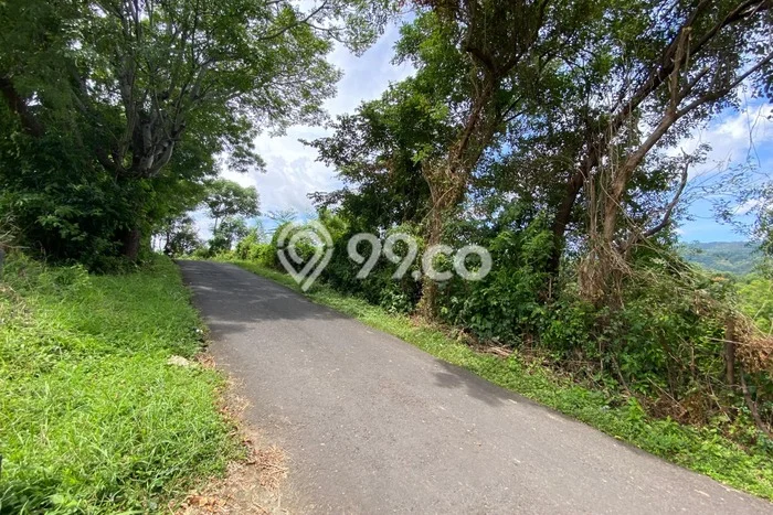 Untuk Dijual Tanah di Buleleng, Luas 400m2 SHM Untuk Dijual Tanah di Buleleng, Luas 400m2 SHM