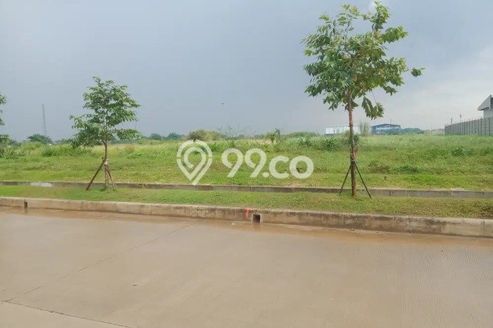 Lahan Investasi Lokasi Alang Alang Lebar Palembang SHM Lahan Investasi Lokasi Alang Alang Lebar Palembang SHM