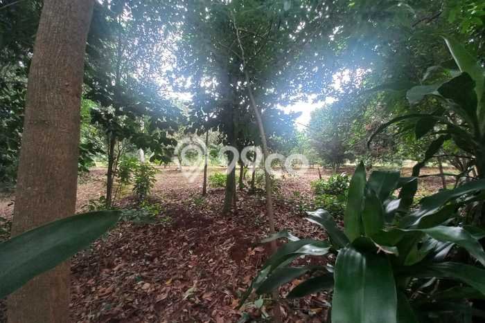 Kavling Tanah Dijual di Kalijati Subang Spesifikasi 2745m2 Kavling Tanah Dijual di Kalijati Subang Spesifikasi 2745m2