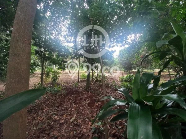 Kavling Tanah di Kalijati Dijual Luas 2754m2 Legalitas SHM Kavling Tanah di Kalijati Dijual Luas 2754m2 Legalitas SHM