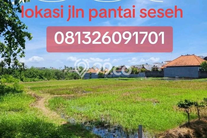 Kavling Tanah untuk Disewa di Seseh Lahan Luas 4000m2 Kavling Tanah untuk Disewa di Seseh Lahan Luas 4000m2