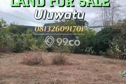 Kavling Tanah untuk Dijual di uluwatu, Badung, Luas 1000m2 Kavling Tanah untuk Dijual di uluwatu, Badung, Luas 1000m2