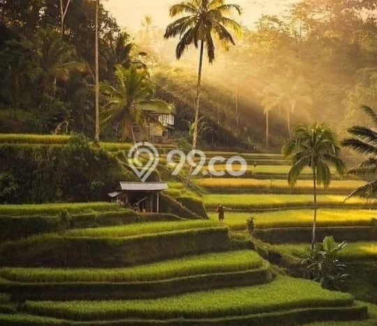POTENSI BESAR! Hotel di Ubud, Luas 500m2m², Area Bisnis POTENSI BESAR! Hotel di Ubud, Luas 500m2m², Area Bisnis