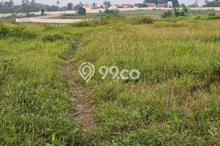 Kavling Tanah di Jayanti Dijual Luas 15000m2 Legalitas SHM Kavling Tanah di Jayanti Dijual Luas 15000m2 Legalitas SHM