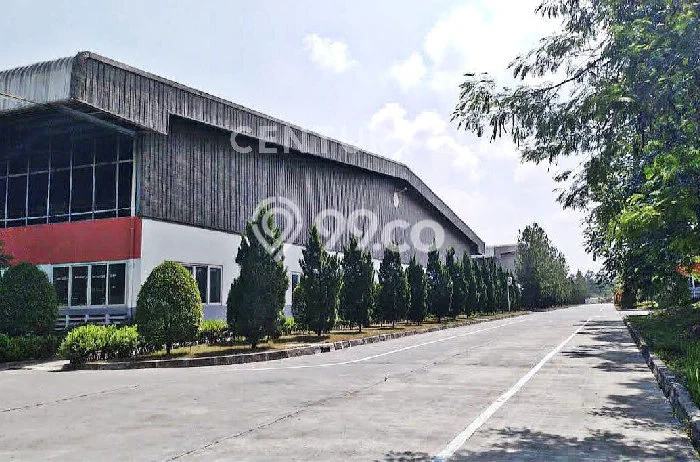 Untuk Disewa Gudang di Karawang Timur Karawang LT 50000m2, LB 10000m2 Untuk Disewa Gudang di Karawang Timur Karawang LT 50000m2, LB 10000m2