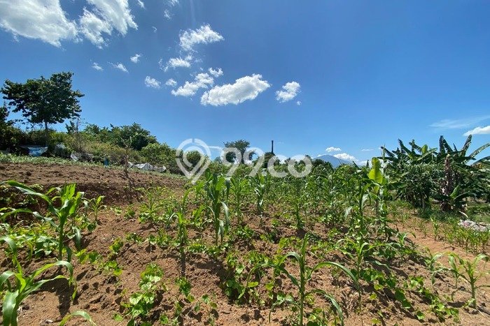 Kavling Tanah Dijual di Serang, Serang, Luas 150000m2 Area Strategis Kavling Tanah Dijual di Serang, Serang, Luas 150000m2 Area Strategis