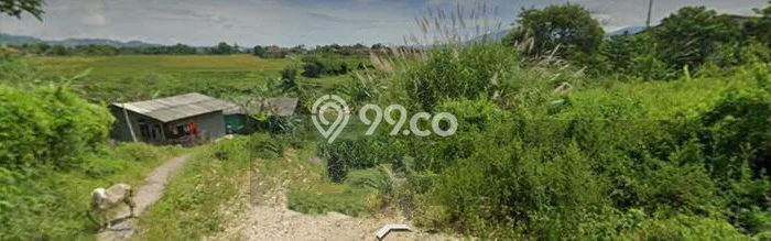 Kavling Tanah di Batujajar Dijual Luas 1200m2 Legalitas SHM Kavling Tanah di Batujajar Dijual Luas 1200m2 Legalitas SHM