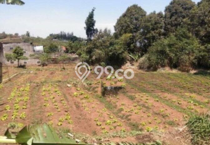 Tanah Kavling di Lembang Dijual dengan Luas 4175m2 Tanah Kavling di Lembang Dijual dengan Luas 4175m2