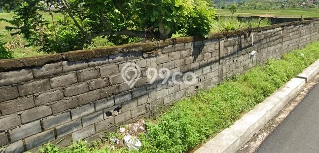 Tanah Komersial Disewakan di Rancaekek Bandung Seluas 10000m2 Tanah Komersial Disewakan di Rancaekek Bandung Seluas 10000m2