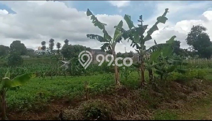 Jarang Ada! Tanah di Parongpong Punya Luas 3470m2 SHM Jarang Ada! Tanah di Parongpong Punya Luas 3470m2 SHM