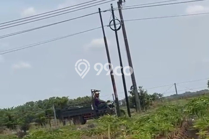 Tanah di Kertajati, Majalengka Luas 30000m2 Dijual Segera Tanah di Kertajati, Majalengka Luas 30000m2 Dijual Segera