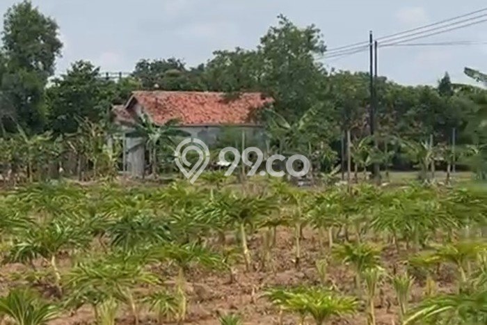 Tanah di Kertajati, Majalengka Luas 30000m2 Dijual Segera Tanah di Kertajati, Majalengka Luas 30000m2 Dijual Segera