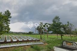 Tanah Disewa di Setiabudi Strategis dan Memiliki Luas 1100m2 Tanah Disewa di Setiabudi Strategis dan Memiliki Luas 1100m2