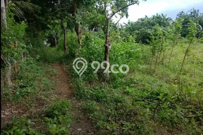 Kavling Tanah untuk Dijual di Senggigi, Lombok Barat, Luas 70m2 Kavling Tanah untuk Dijual di Senggigi, Lombok Barat, Luas 70m2