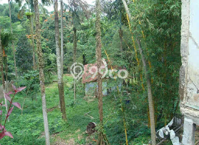Kavling Tanah untuk Dijual di Puncak, Bogor, Luas 15000m2 Kavling Tanah untuk Dijual di Puncak, Bogor, Luas 15000m2