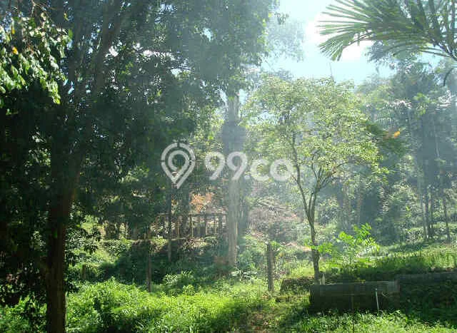 Kavling Tanah untuk Dijual di Puncak, Bogor, Luas 15000m2 Kavling Tanah untuk Dijual di Puncak, Bogor, Luas 15000m2