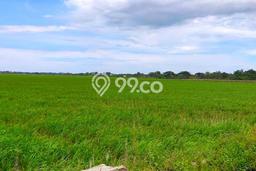 Tanah Dijual Lokasi Strategis di Bekasi dengan Luas 5250m2 Tanah Dijual Lokasi Strategis di Bekasi dengan Luas 5250m2