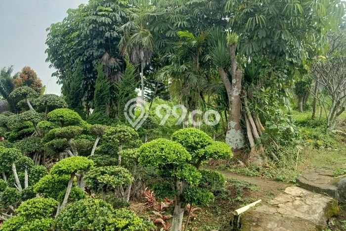 Kavling Tanah di Parongpong Dijual Luas 7011m2 Legalitas SHM Kavling Tanah di Parongpong Dijual Luas 7011m2 Legalitas SHM