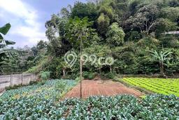 Untuk Dijual Tanah di Bandung, Luas 1768m2 SHM Untuk Dijual Tanah di Bandung, Luas 1768m2 SHM