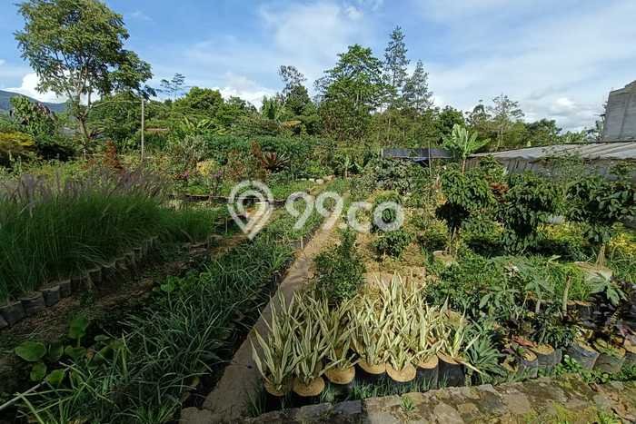 Kavling Tanah Dijual di Parongpong, Bandung Barat, Luas 882m2 Area Strategis Kavling Tanah Dijual di Parongpong, Bandung Barat, Luas 882m2 Area Strategis