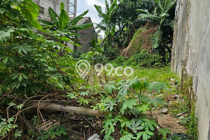 Jual Tanah Area Premium di , Luas 140m2m², Ideal untuk Pengembangan Jual Tanah Area Premium di , Luas 140m2m², Ideal untuk Pengembangan