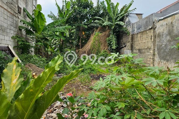 Jual Tanah Area Premium di , Luas 140m2m², Ideal untuk Pengembangan Jual Tanah Area Premium di , Luas 140m2m², Ideal untuk Pengembangan