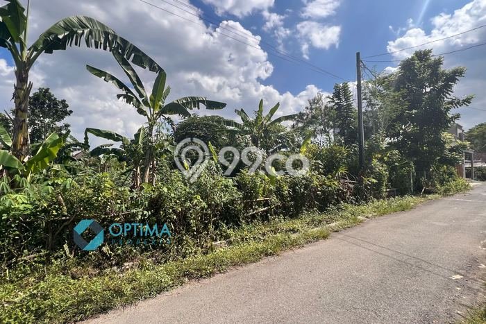Lahan Investasi Lokasi Mlati Sleman SHM Lahan Investasi Lokasi Mlati Sleman SHM