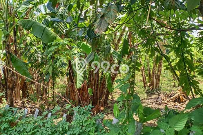 Dijual Tanah 900m2 di Ujungberung, Bandung Dijual Tanah 900m2 di Ujungberung, Bandung