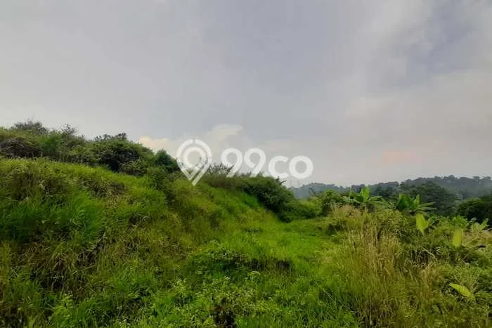 Tanah Kavling Dijual di Bandung Barat dengan Spesifikasi 25540m2 Tanah Kavling Dijual di Bandung Barat dengan Spesifikasi 25540m2