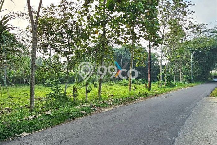 Kavling Tanah Dijual di Pakis, Malang, Luas 1940m2 Area Strategis Kavling Tanah Dijual di Pakis, Malang, Luas 1940m2 Area Strategis