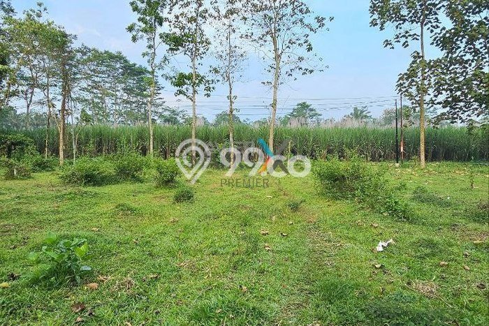 Kavling Tanah Dijual di Pakis, Malang, Luas 1940m2 Area Strategis Kavling Tanah Dijual di Pakis, Malang, Luas 1940m2 Area Strategis