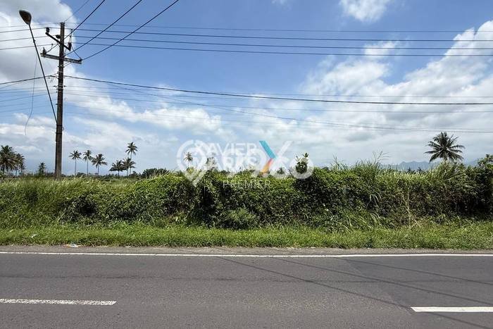 Tanah Dijual Lokasi Pakis, Malang Luas 6700m2 Legalitas Aman Tanah Dijual Lokasi Pakis, Malang Luas 6700m2 Legalitas Aman