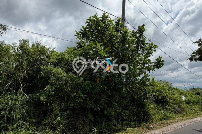 Lahan Strategis di Dau Dijual dengan Luas 1700m2 Lahan Strategis di Dau Dijual dengan Luas 1700m2