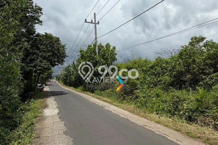 Lahan Strategis di Dau Dijual dengan Luas 1700m2 Lahan Strategis di Dau Dijual dengan Luas 1700m2