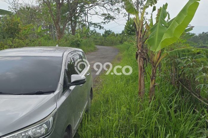 Tanah Dijual Lokasi Singosari, Malang Luas 56300m2 Legalitas Aman Tanah Dijual Lokasi Singosari, Malang Luas 56300m2 Legalitas Aman