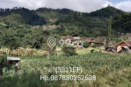 Tanah Dijual di Malang Seluas 1004m2 Strategis Tanah Dijual di Malang Seluas 1004m2 Strategis