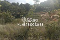 Kavling Tanah di Galang Dijual Luas 240000m2 Legalitas - Kavling Tanah di Galang Dijual Luas 240000m2 Legalitas -
