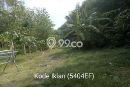 Lahan untuk Dijual di Pandak Bantul Luas 1826m2 Lahan untuk Dijual di Pandak Bantul Luas 1826m2