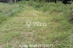Jarang Ada! Tanah di Borobudur Punya Luas 1400m2 SHM Jarang Ada! Tanah di Borobudur Punya Luas 1400m2 SHM