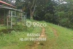Tanah Dijual Lokasi Cijambe Subang SHM Tanah Dijual Lokasi Cijambe Subang SHM