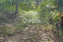 Tanah di Simpang Katis, Bangka Tengah Luas 18000m2 Dijual Segera Tanah di Simpang Katis, Bangka Tengah Luas 18000m2 Dijual Segera