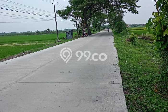 Jarang Ada! Tanah di Kesamben Punya Luas 3970m2 SHM Jarang Ada! Tanah di Kesamben Punya Luas 3970m2 SHM
