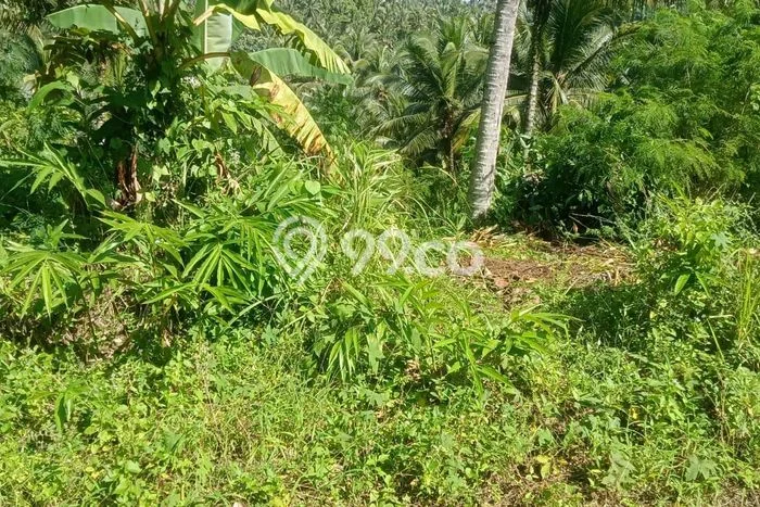 Untuk Dijual Tanah 1000m2 di Gadungan, Tabanan Untuk Dijual Tanah 1000m2 di Gadungan, Tabanan