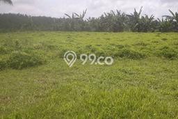 Kavling Tanah Dijual di Selemadeg, Tabanan, Luas 9600m2 Area Strategis Kavling Tanah Dijual di Selemadeg, Tabanan, Luas 9600m2 Area Strategis