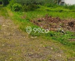 Tanah Kavling Dijual di Kedungu, Tabanan dengan Luas Tanah 500m2 Tanah Kavling Dijual di Kedungu, Tabanan dengan Luas Tanah 500m2