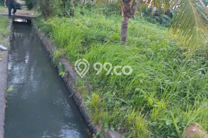 Untuk Dijual Tanah di Tabanan, Luas 1000m2 SHM Untuk Dijual Tanah di Tabanan, Luas 1000m2 SHM