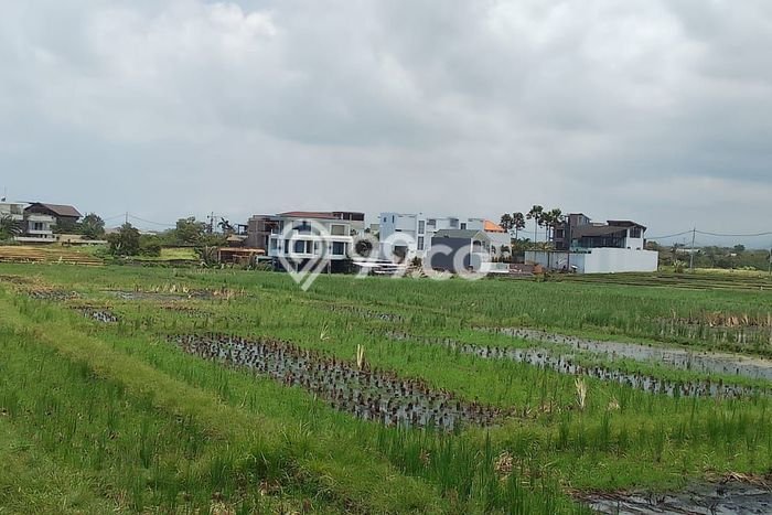 Tanah Siap Bangun Dijual di Badung Punya Luas 1600m2 Tanah Siap Bangun Dijual di Badung Punya Luas 1600m2