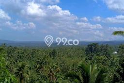 Tanah untuk Dijual di Selemadeg Tabanan Luas 6500m2 Tanah untuk Dijual di Selemadeg Tabanan Luas 6500m2