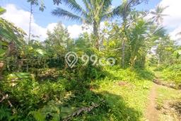 Kavling Tanah Dijual di Selemadeg Tabanan Spesifikasi 1900m2 Kavling Tanah Dijual di Selemadeg Tabanan Spesifikasi 1900m2